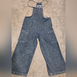 Vanilla Star Blue Denim Overalls